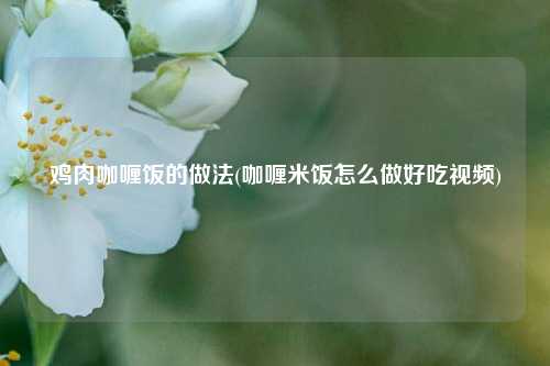 鸡肉咖喱饭的做法(咖喱米饭怎么做好吃视频)
