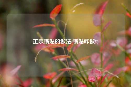 正宗锅贴的做法(锅贴咋做?)
