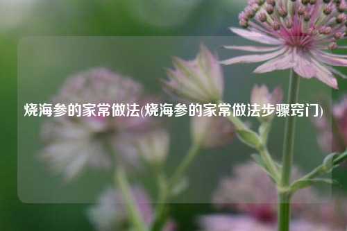 烧海参的家常做法(烧海参的家常做法步骤窍门)