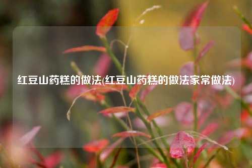 红豆山药糕的做法(红豆山药糕的做法家常做法)