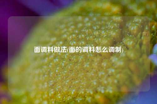 面调料做法(面的调料怎么调制)