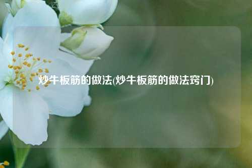 炒牛板筋的做法(炒牛板筋的做法窍门)