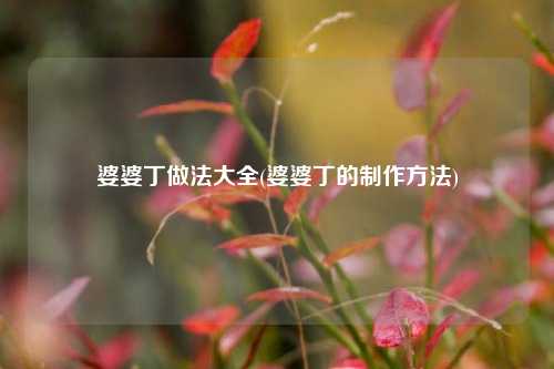 婆婆丁做法大全(婆婆丁的制作方法)