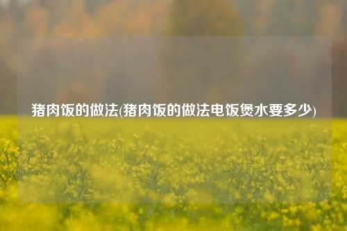 猪肉饭的做法(猪肉饭的做法电饭煲水要多少)