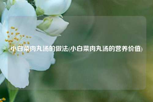 小白菜肉丸汤的做法(小白菜肉丸汤的营养价值)