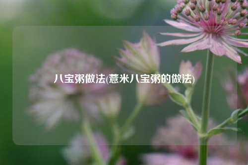 八宝粥做法(薏米八宝粥的做法)