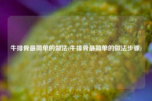 牛排骨最简单的做法(牛排骨最简单的做法步骤)