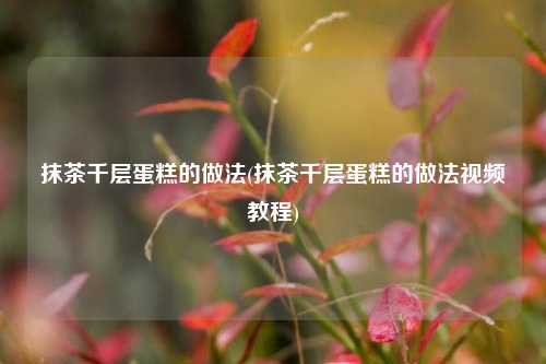 抹茶千层蛋糕的做法(抹茶千层蛋糕的做法视频教程)