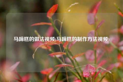 马蹄糕的做法视频(马蹄糕的制作方法视频)