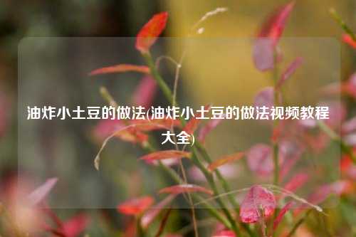 油炸小土豆的做法(油炸小土豆的做法视频教程大全)